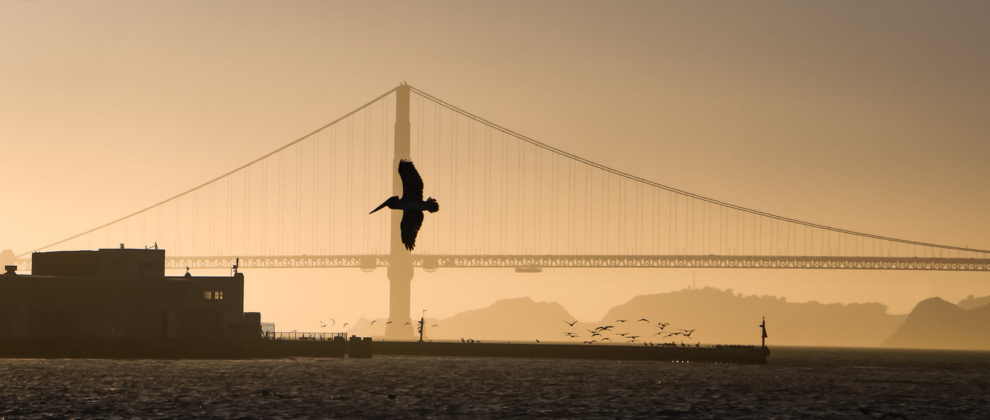 Allure of the bay Giclee print